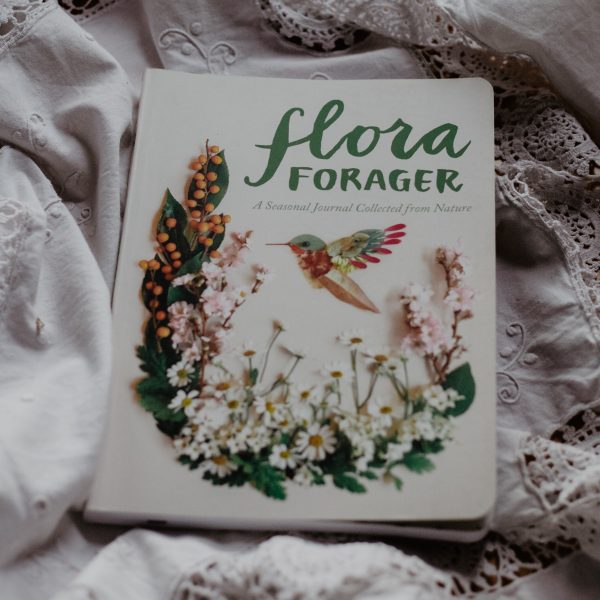 Flora Forager: A seasonal journal collected from nature