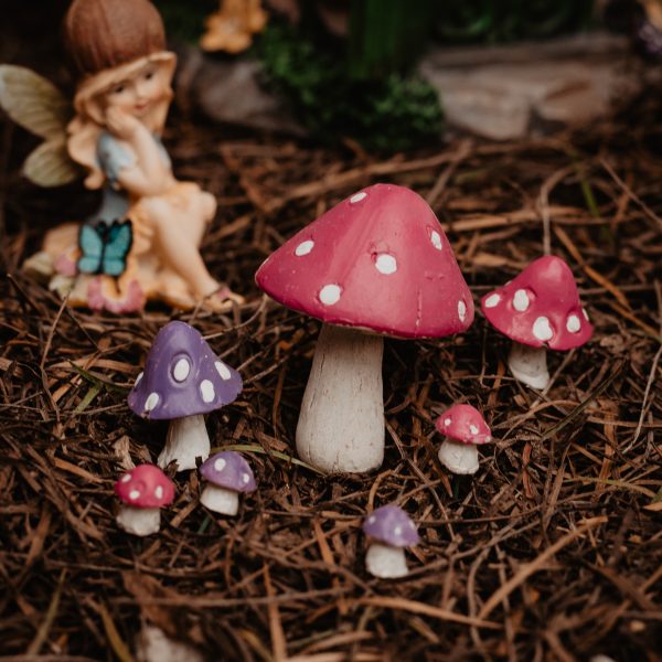 enchanted mushrooms